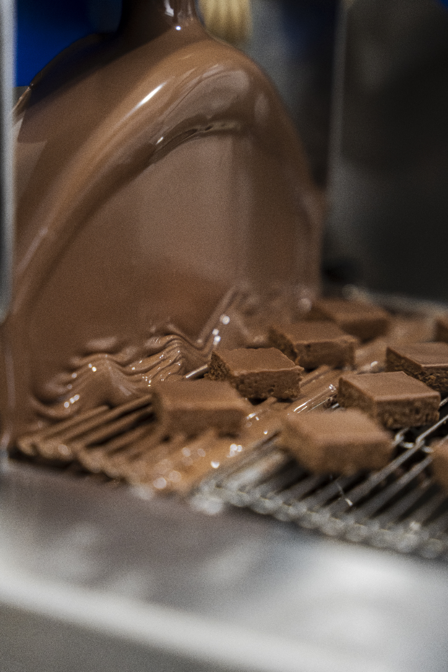 Enrobage chocolat dans l'atelier Geoffrey Gil Chocolaterie