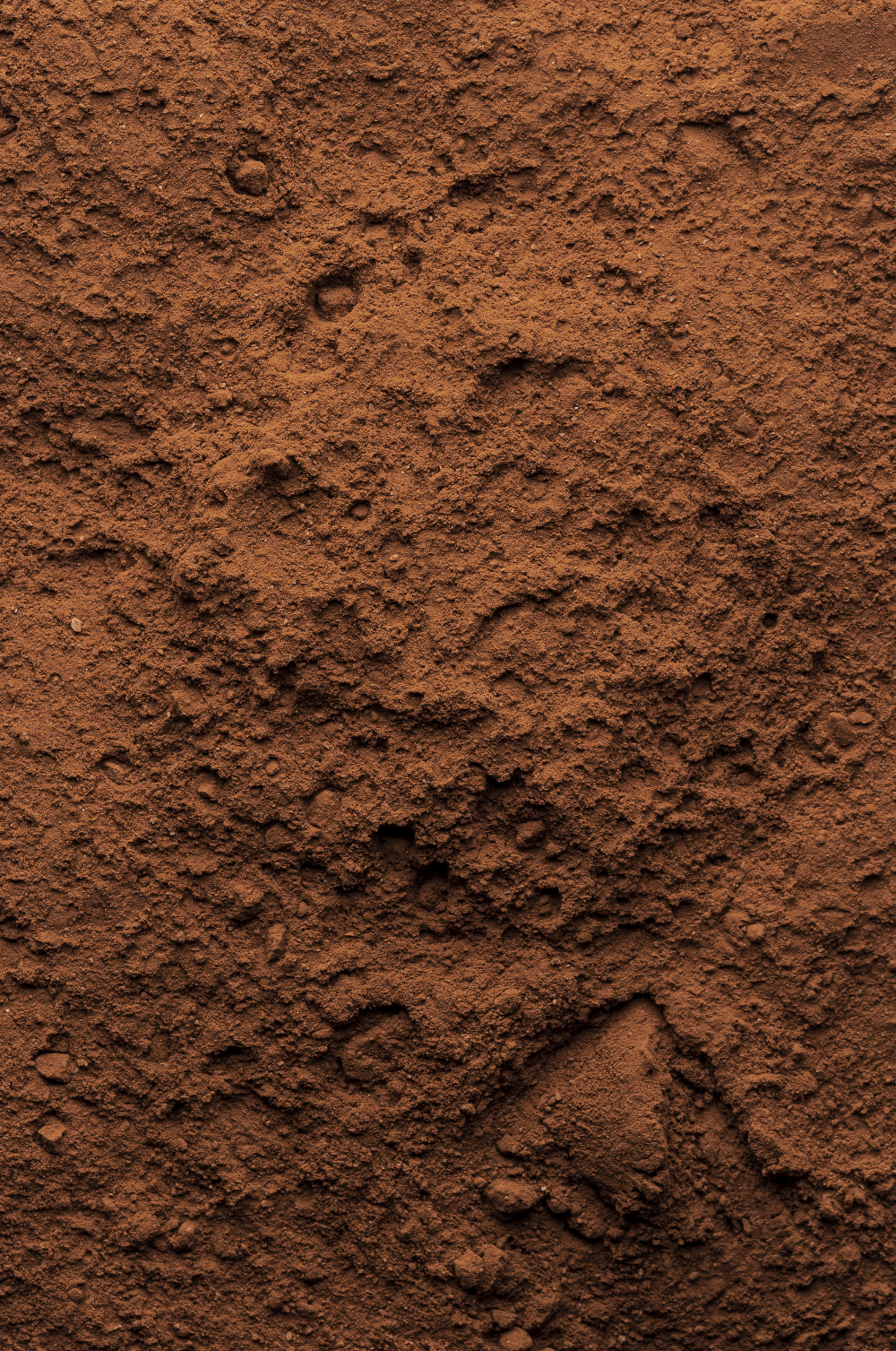 Poudre de cacao pur — matière première de la chocolaterie Geoffrey Gil à Béziers